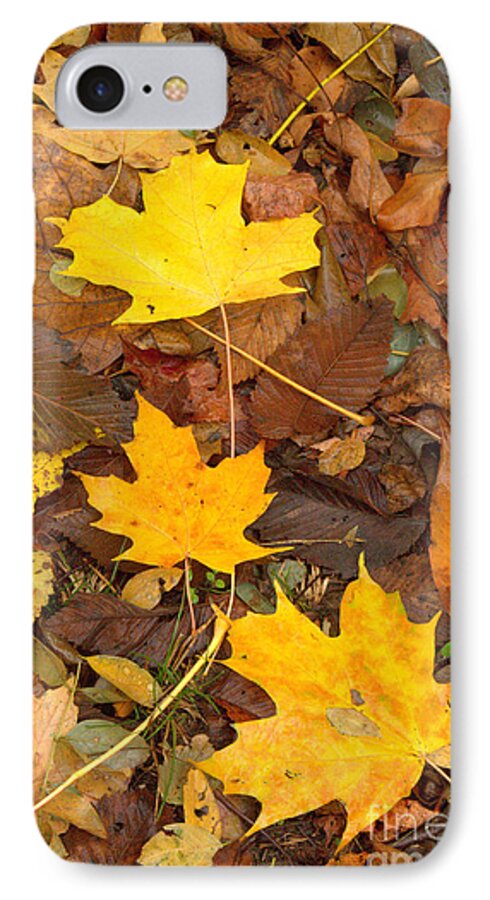 Leaves iPhone 7 Case featuring the photograph 3 Shades of Yellow by Jim McCain