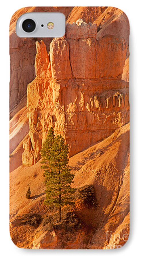 Bryce Canyon iPhone 7 Case featuring the photograph Sunrise at Sunset Point Bryce Canyon National Park #4 by Fred Stearns