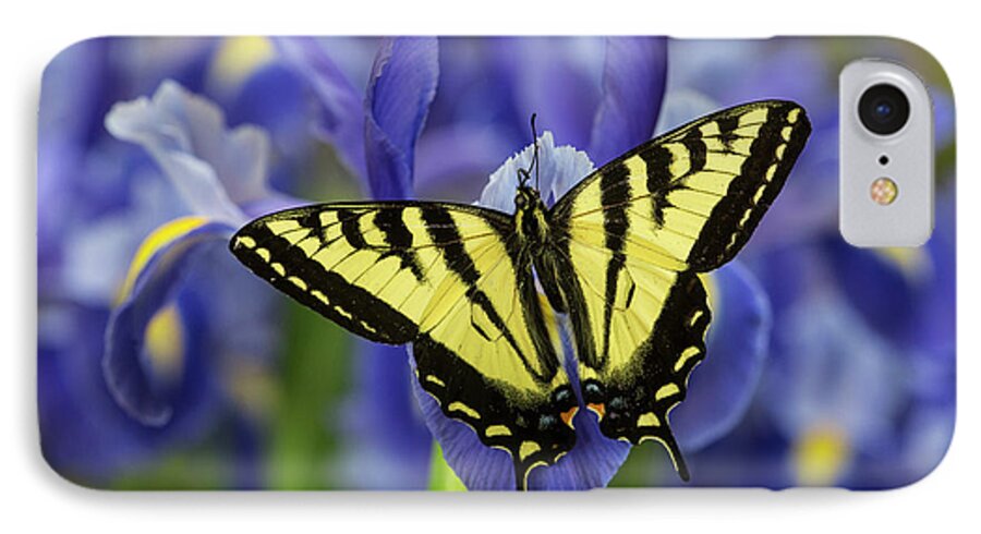 Black iPhone 7 Case featuring the photograph Male Western Tiger Swallowtail #5 by Darrell Gulin