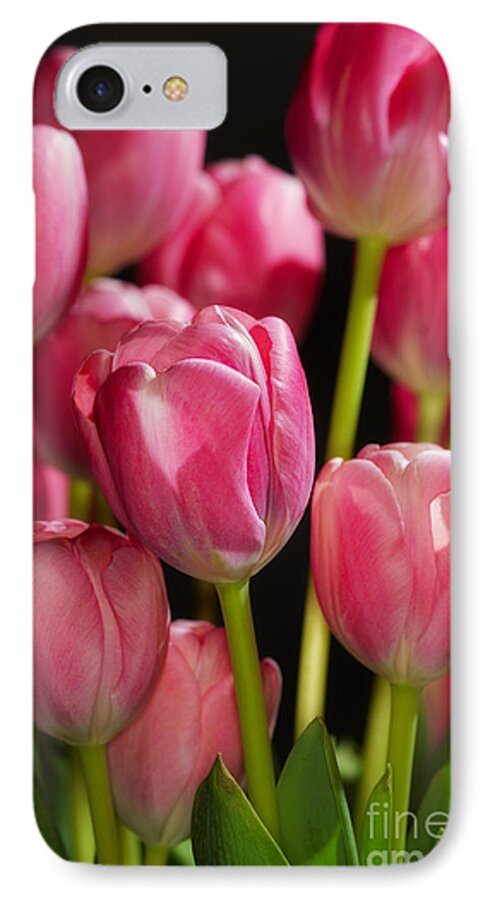 Close-up iPhone 7 Case featuring the photograph A bouquet of pink tulips by Nick Biemans