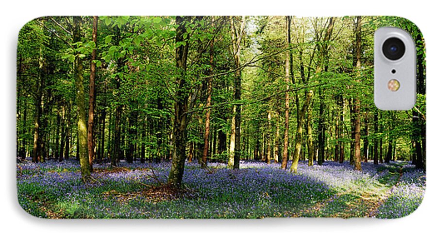Woods iPhone 7 Case featuring the photograph A Carpet Of Colour by Wendy Wilton