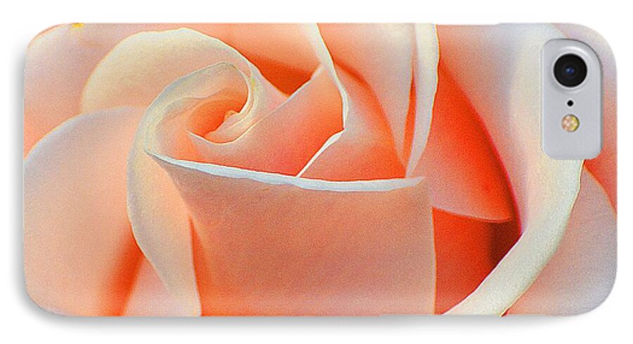 Rose iPhone 7 Case featuring the photograph A Delicate Rose by Cindy Manero