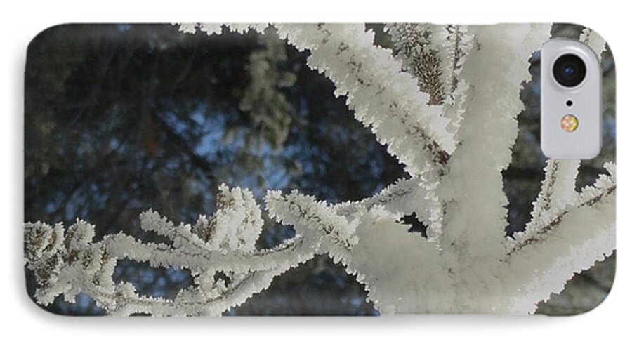 A Frosty Morning iPhone 7 Case featuring the photograph A Frosty Morning by Mike Breau