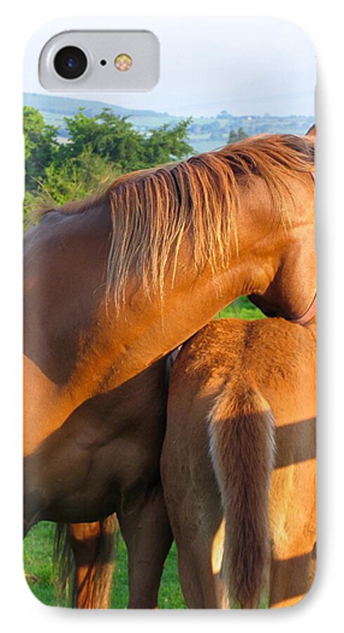 Irish Horses iPhone 7 Case featuring the photograph A Mother's Love by Suzanne Oesterling