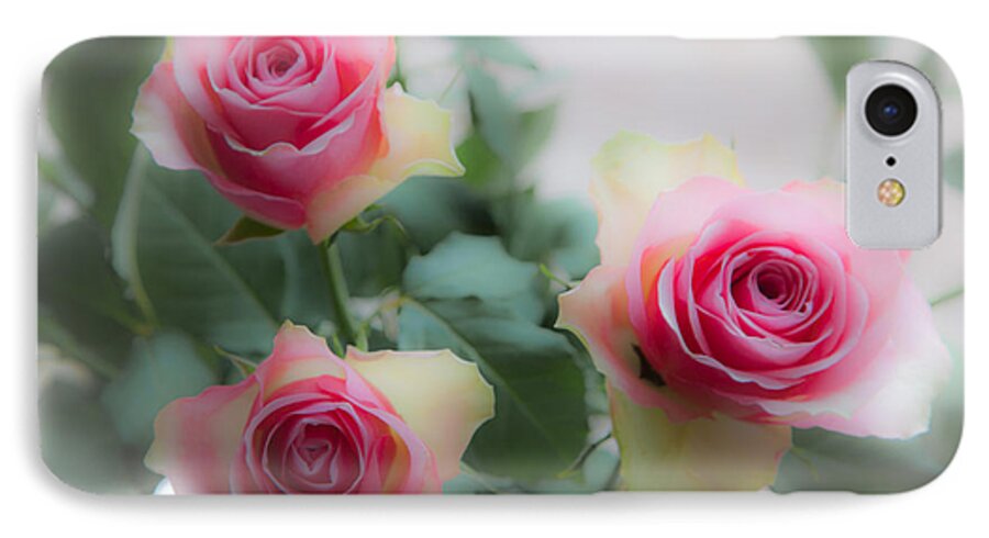 Three Roses iPhone 7 Case featuring the photograph A rose and a rose and a rose by Casper Cammeraat