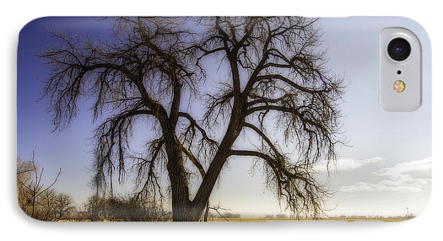 Colorado iPhone 7 Case featuring the photograph A Simple Tree by Kristal Kraft
