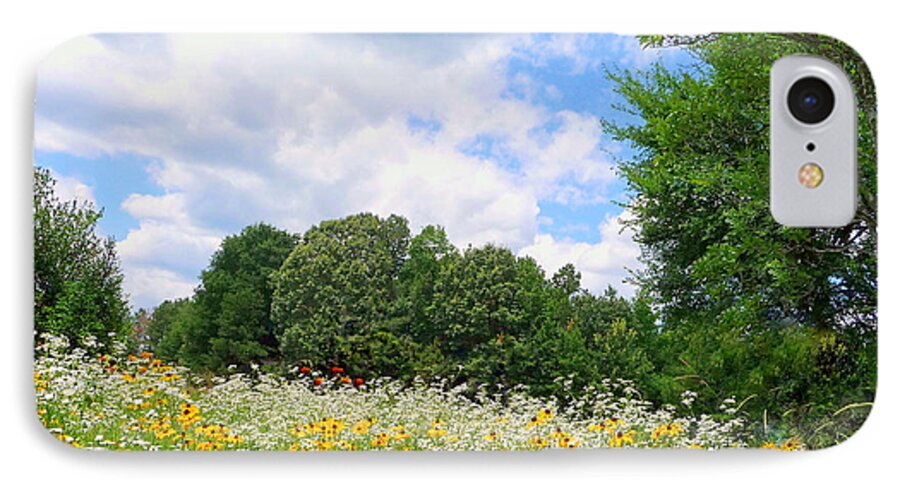 Panoramic Sky iPhone 7 Case featuring the photograph A Summer Meadow by Jim Whalen
