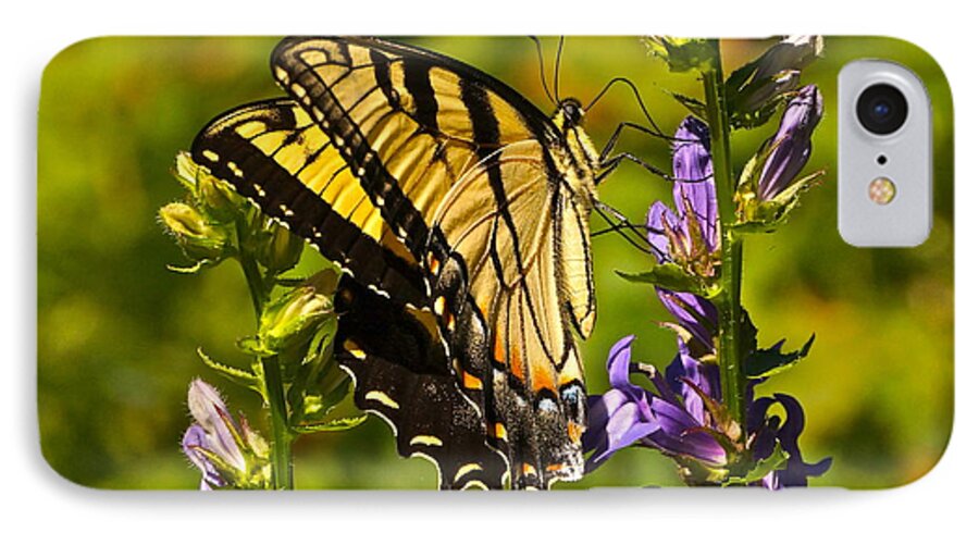 Colorful Butterfly And Purple Flowers iPhone 7 Case featuring the photograph A Warm September Day in the Garden by Byron Varvarigos