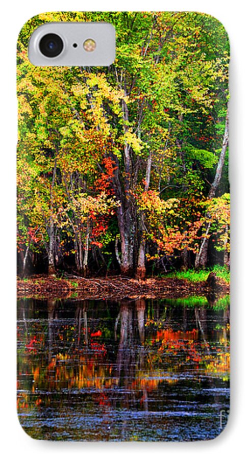 Diane Berry iPhone 7 Case featuring the photograph Adirondack Reflections by Diane E Berry