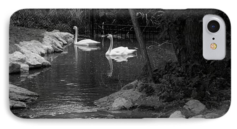 Afternoon Swim Bw iPhone 7 Case featuring the photograph Afternoon Swim bw by Elizabeth Sullivan