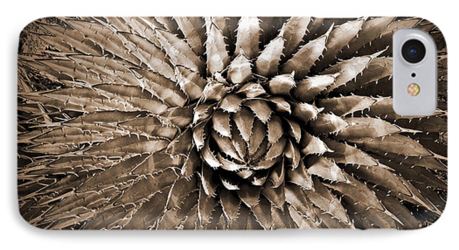 Agave iPhone 7 Case featuring the photograph Agave Spikes Sepia by Alan Socolik