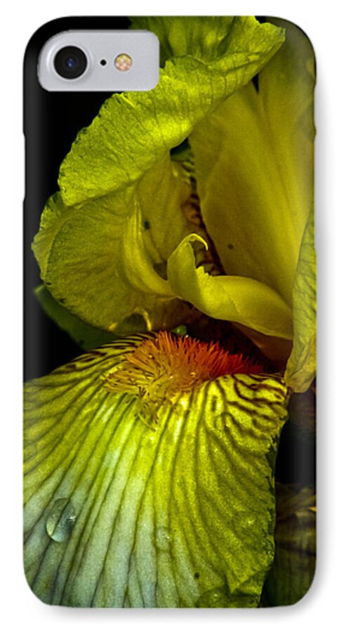 Iris iPhone 7 Case featuring the photograph Aieris by Joel Loftus