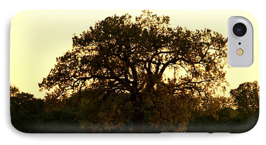 Tree iPhone 7 Case featuring the photograph All Alone by Roseann Errigo