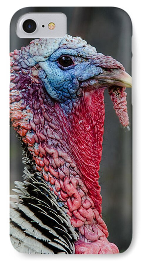Turkey iPhone 7 Case featuring the photograph Get My Good Side by Jennifer Kano