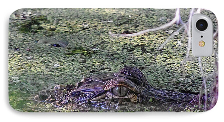 Fine Art Photograph iPhone 7 Case featuring the photograph Alligator 019 by Christopher Mercer