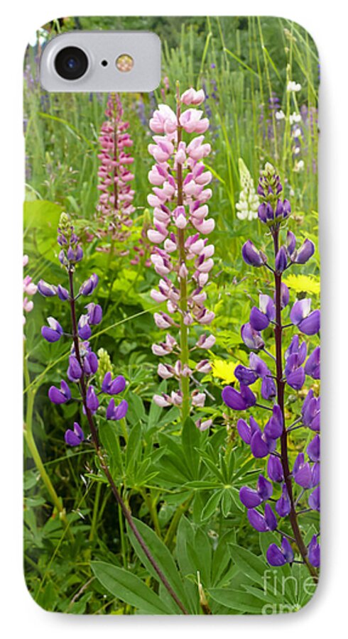 Lupin iPhone 7 Case featuring the photograph Alpine Lupines by Maria Janicki