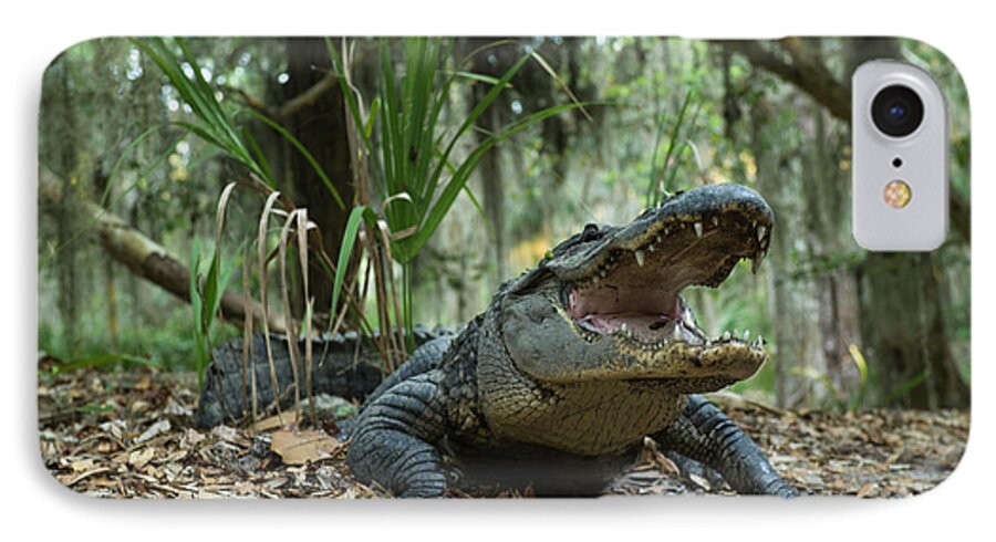 Aggressive iPhone 7 Case featuring the photograph American Alligator (alligator by Pete Oxford