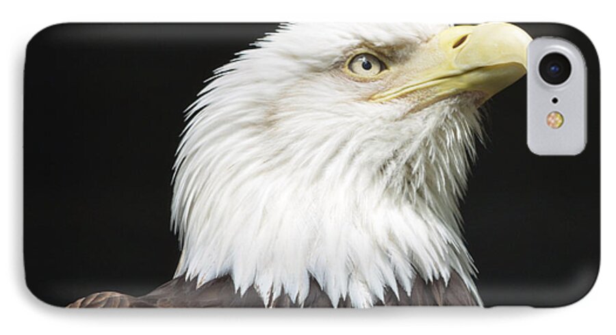 Eagle iPhone 7 Case featuring the photograph American Bald Eagle Profile by Richard Bryce and Family