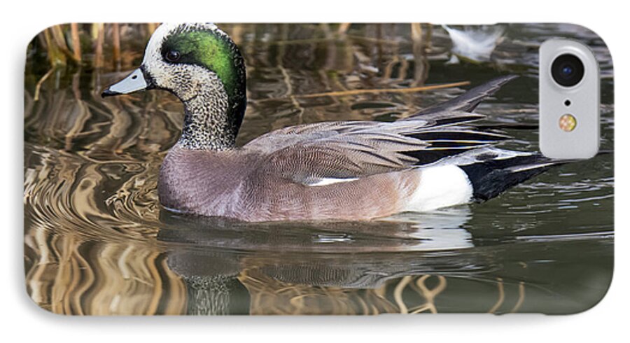 Duck iPhone 7 Case featuring the photograph American Wigeon Reflections by Stephen Johnson