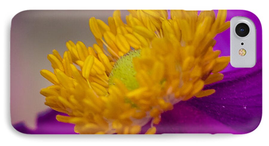 Anemone iPhone 7 Case featuring the photograph Anemone by Cathy Donohoue
