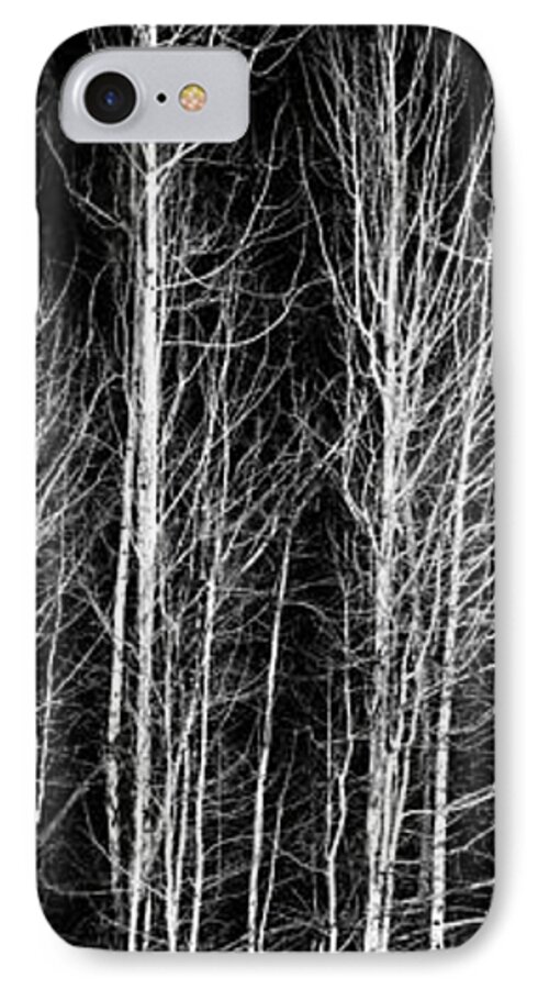 Poplar iPhone 7 Case featuring the photograph Aspens by Kyle Wasielewski