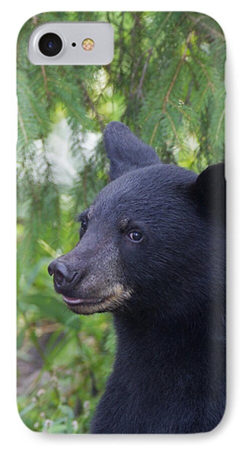 Nature iPhone 7 Case featuring the photograph August COY by Gerry Sibell