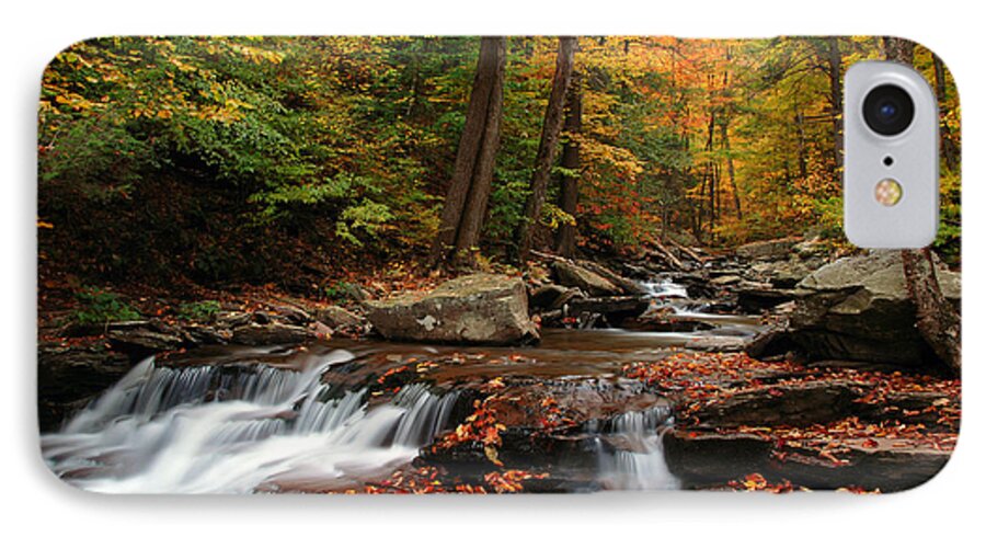 Ricketts Glen iPhone 7 Case featuring the photograph Autumn At Ricketts Glen by Dan Myers