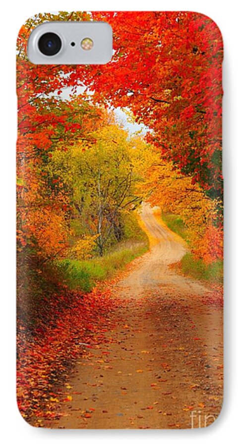 Red iPhone 7 Case featuring the photograph Autumn Cameo by Terri Gostola