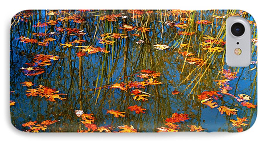 Autumn iPhone 7 Case featuring the photograph Autumn Floating by Peggy Franz