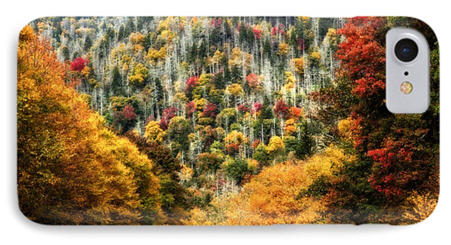 Fall Tour 2013 iPhone 7 Case featuring the photograph Autumn in the Smokies by Deborah Scannell