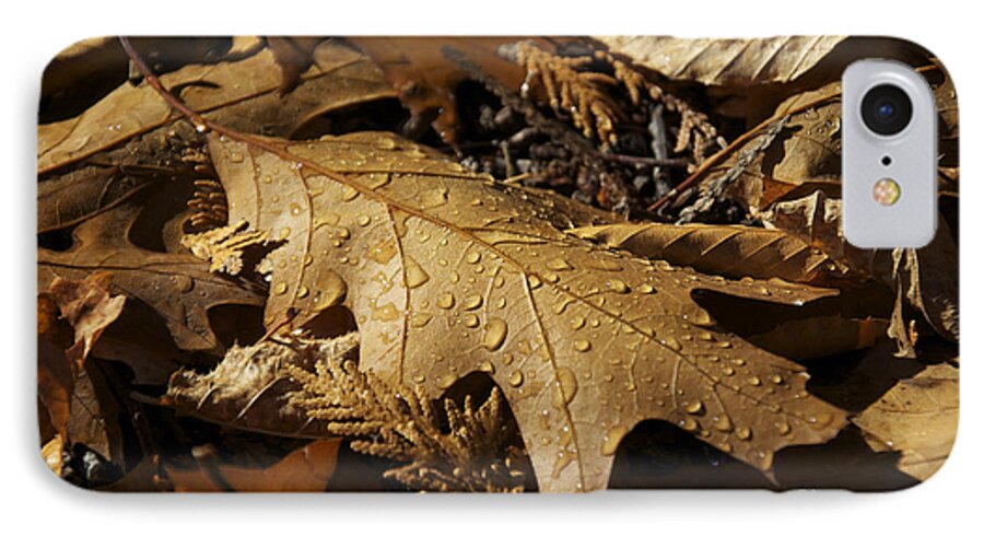 Autumn iPhone 7 Case featuring the photograph Autumn Leaf At Dawn by Owen Weber
