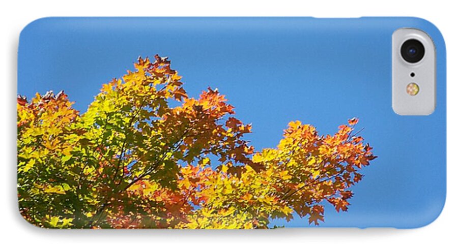 Autumn Leaves iPhone 7 Case featuring the photograph Autumn Leaves by Jackie Mueller-Jones