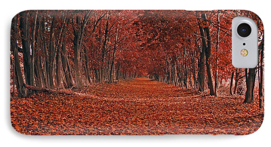Autumn iPhone 7 Case featuring the photograph Autumn by Raymond Salani III