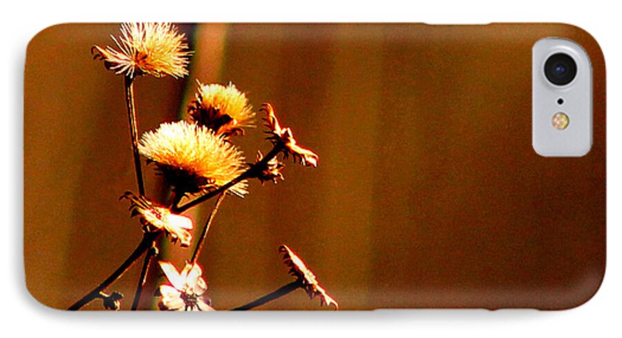 Nature iPhone 7 Case featuring the photograph Autumn's Moment by Bruce Patrick Smith