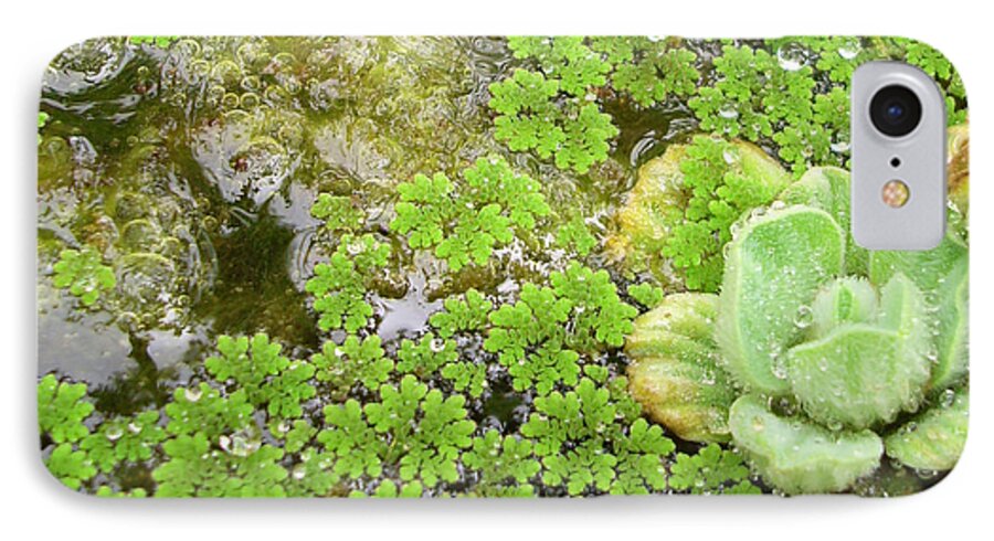 Nature iPhone 7 Case featuring the photograph Babbling Brook by Ismael Cavazos