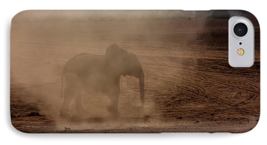 Elephant iPhone 7 Case featuring the photograph Baby Elephant by Amanda Stadther