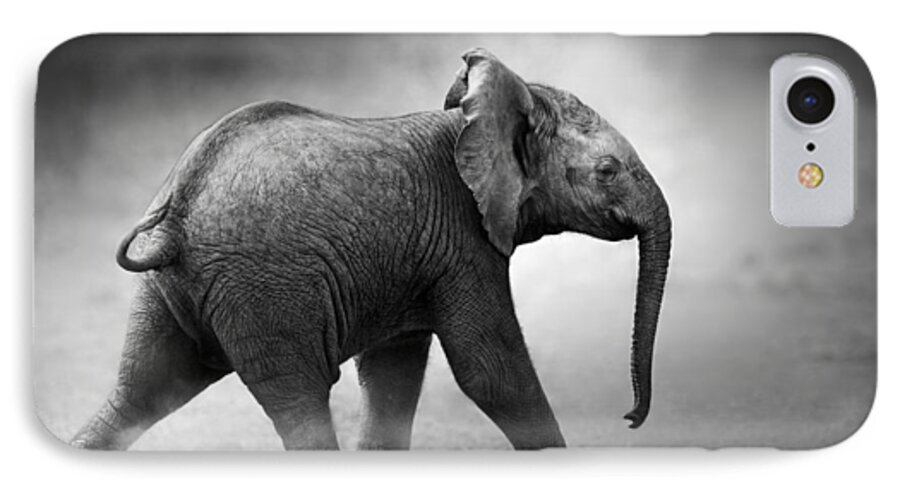Elephant iPhone 7 Case featuring the photograph Baby Elephant running by Johan Swanepoel
