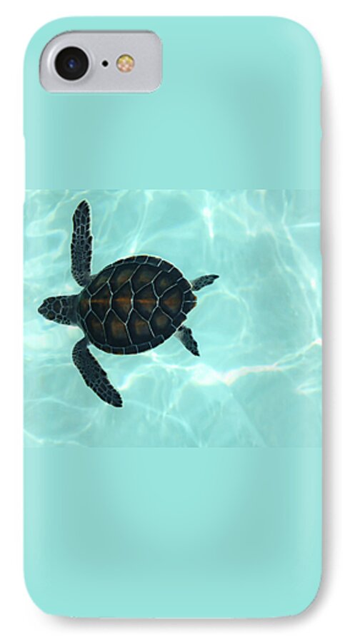 Swimming Baby Sea Turtle iPhone 7 Case featuring the photograph Baby Sea Turtle by Ellen Henneke