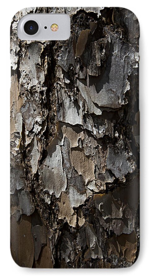 Tree iPhone 7 Case featuring the photograph Bark by Lindsey Weimer