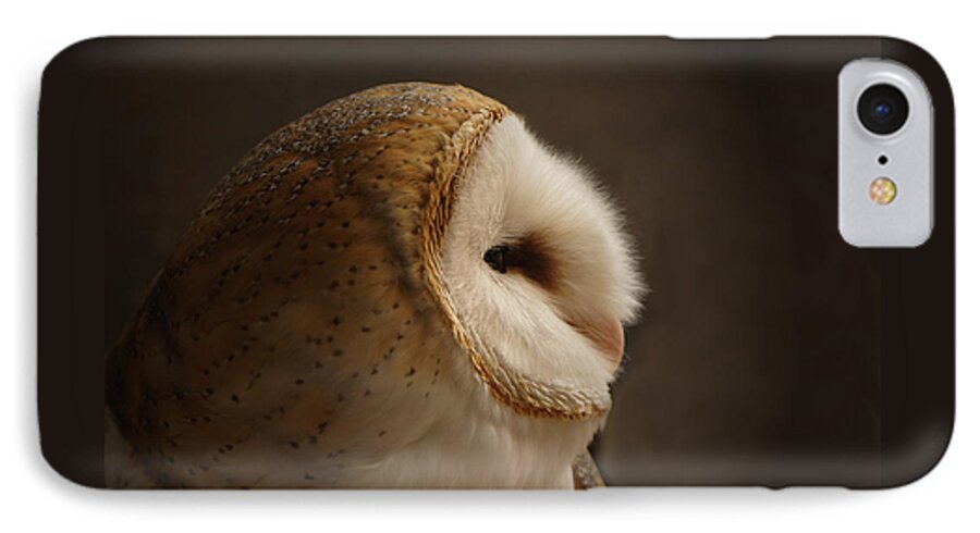 Barn Owl iPhone 7 Case featuring the photograph Barn Owl 3 by Ernest Echols