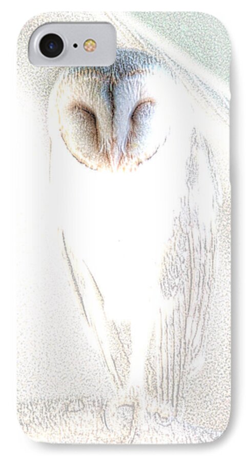 Animals iPhone 7 Case featuring the photograph Barn Owl by Holly Kempe