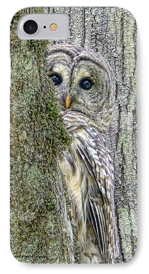 Owl iPhone 7 Case featuring the photograph Barred Owl Peek a Boo by Jennie Marie Schell