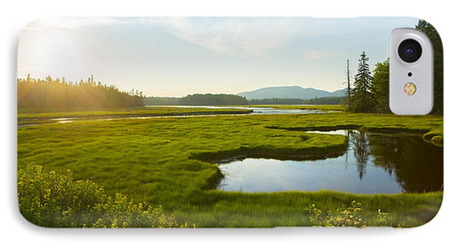Bass Harbor Marsh iPhone 7 Case featuring the photograph Bass Harbor Marsh at Dusk by Diane Diederich