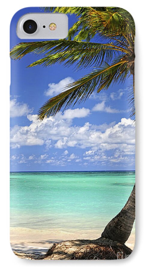 Beach iPhone 7 Case featuring the photograph Beach of a tropical island by Elena Elisseeva