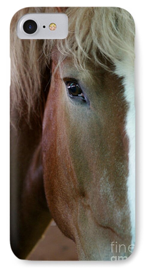 Horse iPhone 7 Case featuring the photograph Beautiful Within Him Was The Spirit - 2 by Linda Shafer