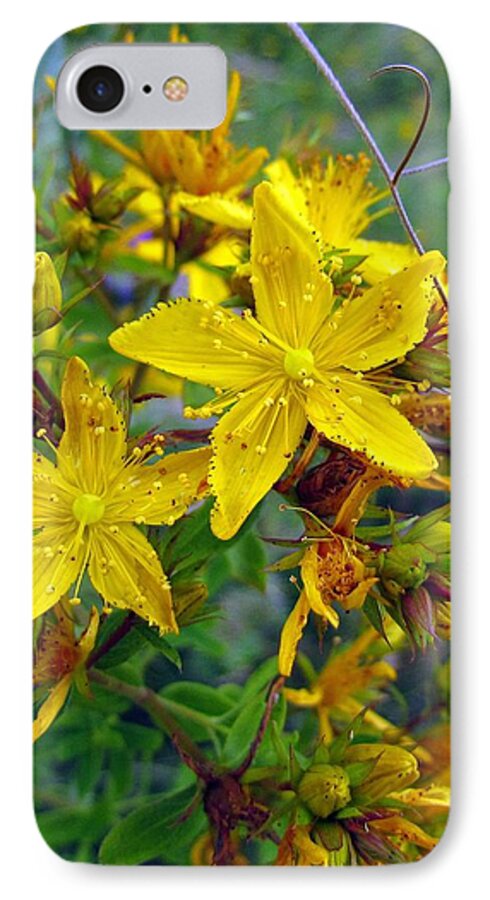 Flowers iPhone 7 Case featuring the photograph Beauty in a weed by I'ina Van Lawick