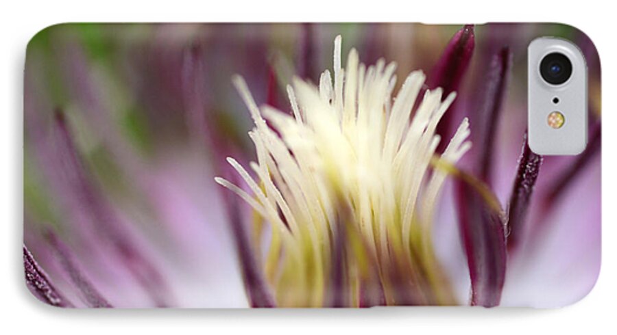 Clematis iPhone 7 Case featuring the photograph Beauty Remains by Wanda Brandon