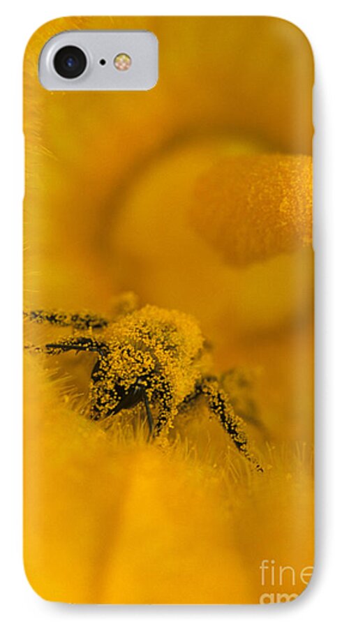Bee iPhone 7 Case featuring the photograph Bee in Pollen by Chris Scroggins