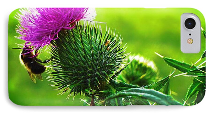 Bee On Thistle iPhone 7 Case featuring the photograph Bee On Thistle by Joy Nichols