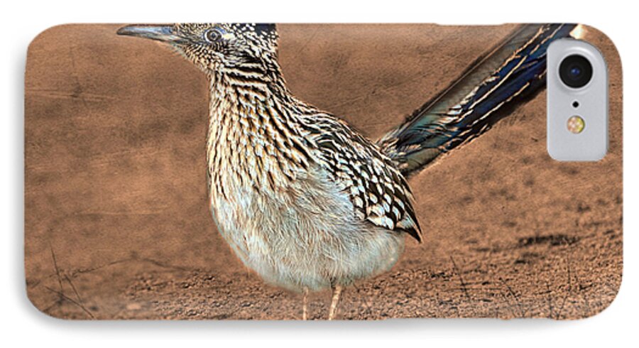 Roadrunner iPhone 7 Case featuring the photograph Beep Beep by Barbara Manis